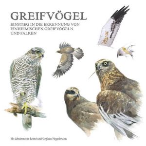 Greifvögel: Einstieg in die Erkennung von einheimischen Greifvögeln und Falken