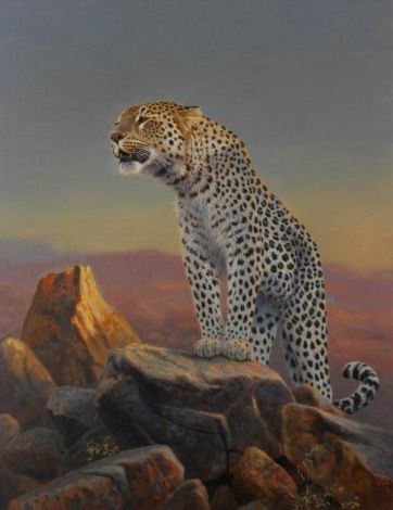 Arabischer Leopard.jpg
