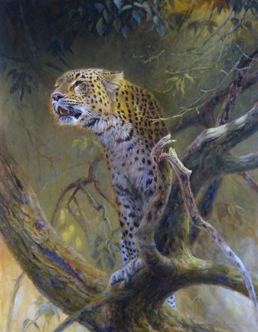 Leopard.jpeg